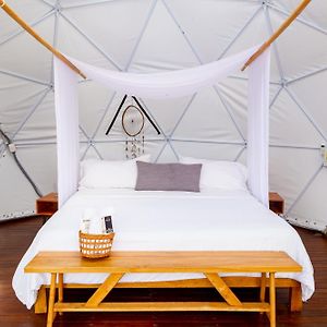 Glamping Tent Mountain View